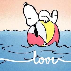 Meet your Posher, Karin